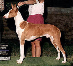 "Malcolm" at a show